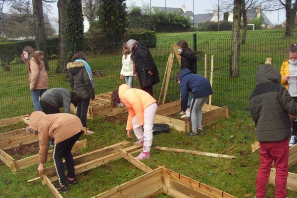 Projet De Potager Au Collège !